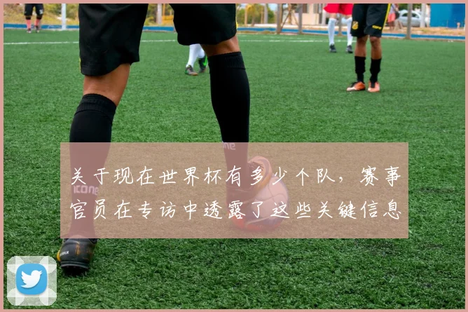 关于现在世界杯有多少个队,赛事官员在专访中透露了这些关键信息