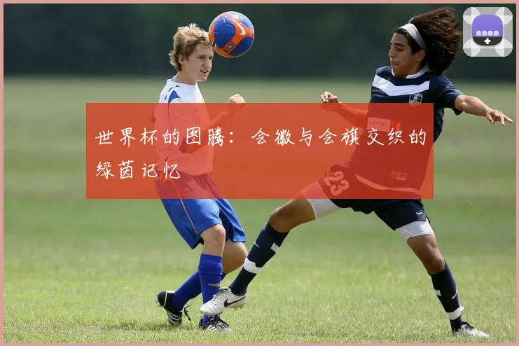世界杯的图腾：会徽与会旗交织的绿茵记忆