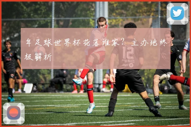 年足球世界杯花落谁家?主办地终极解析