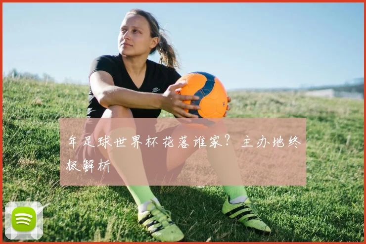 年足球世界杯花落谁家？主办地终极解析