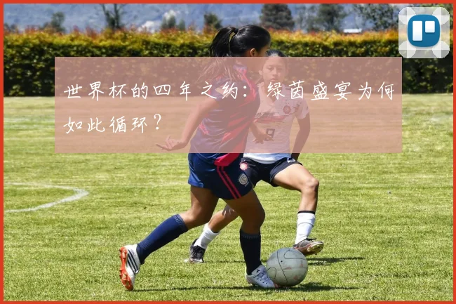 世界杯的四年之约:绿茵盛宴为何如此循环?