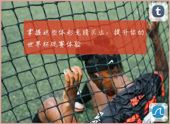 掌握这些体彩竞猜买法，提升你的世界杯观赛体验