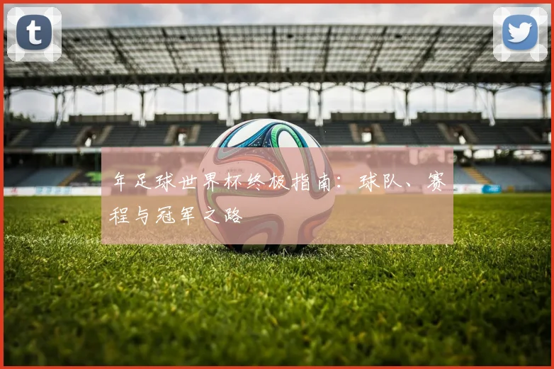 年足球世界杯终极指南：球队、赛程与冠军之路