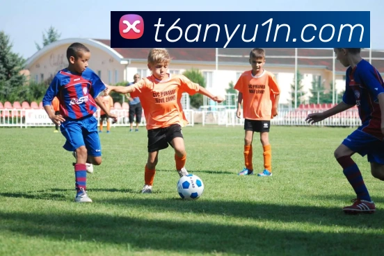 数据防护可视化